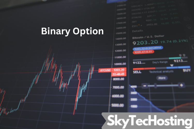 Binary option